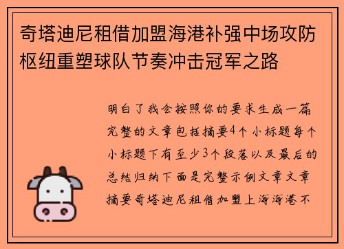 奇塔迪尼租借加盟海港补强中场攻防枢纽重塑球队节奏冲击冠军之路